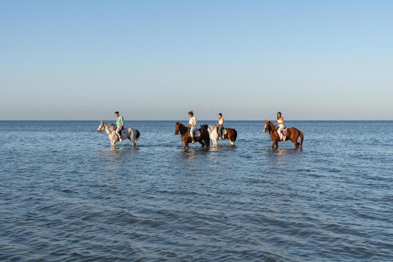 הורגהדה Ancient Sands Golf Resort And Residences מראה חיצוני תמונה